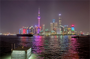 上海城市化进程中的社会变化 上海城市化进程中的社会变化